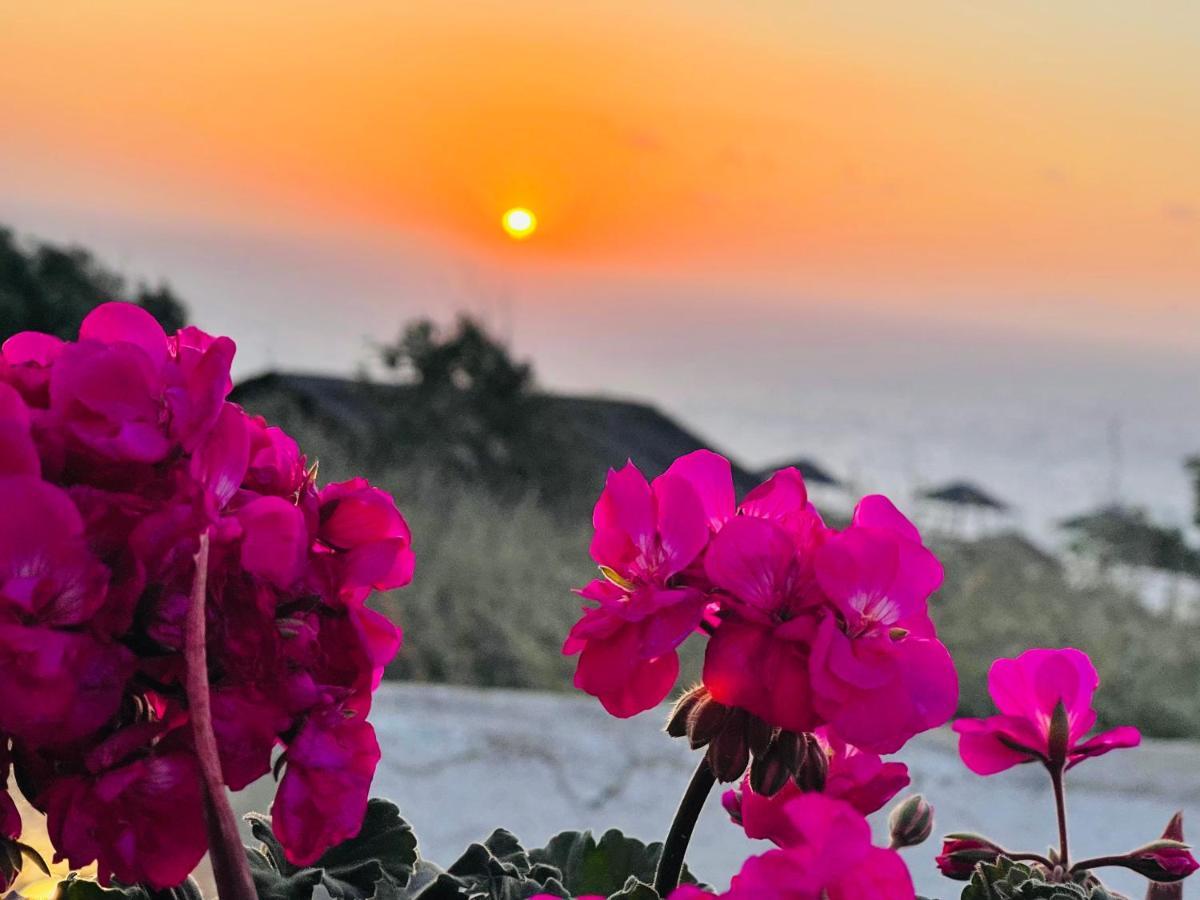 Oia Sunset House Pothitou Vila Exterior foto